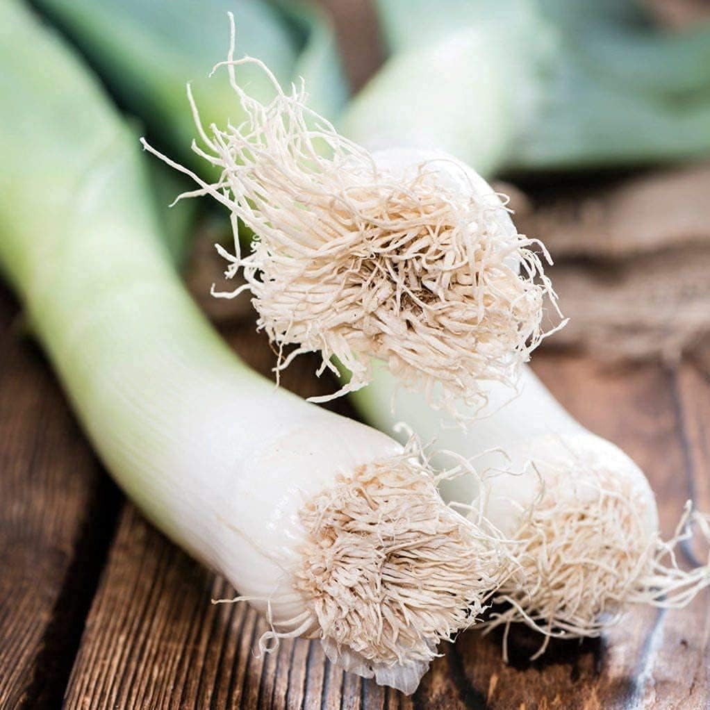 American Flag Leek Seeds  up to 50%