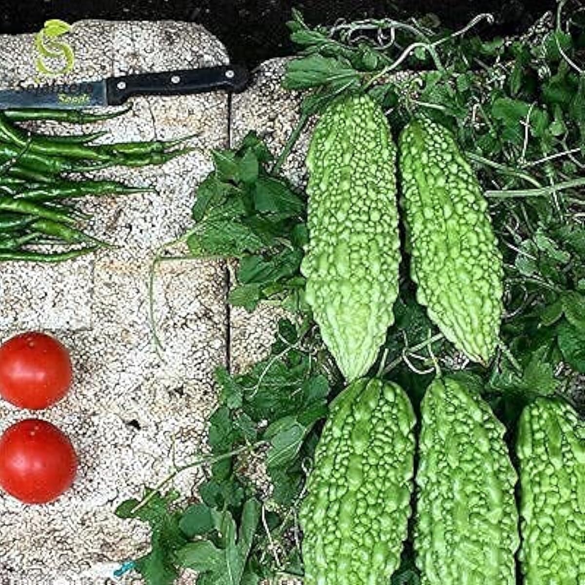 Dark Jade Bitter Melon Seeds up to 50%