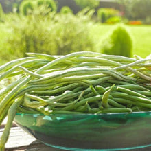 Long Red Noodle Bean Seeds