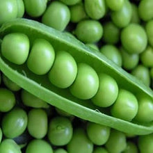 Sword Bean Plant Seeds