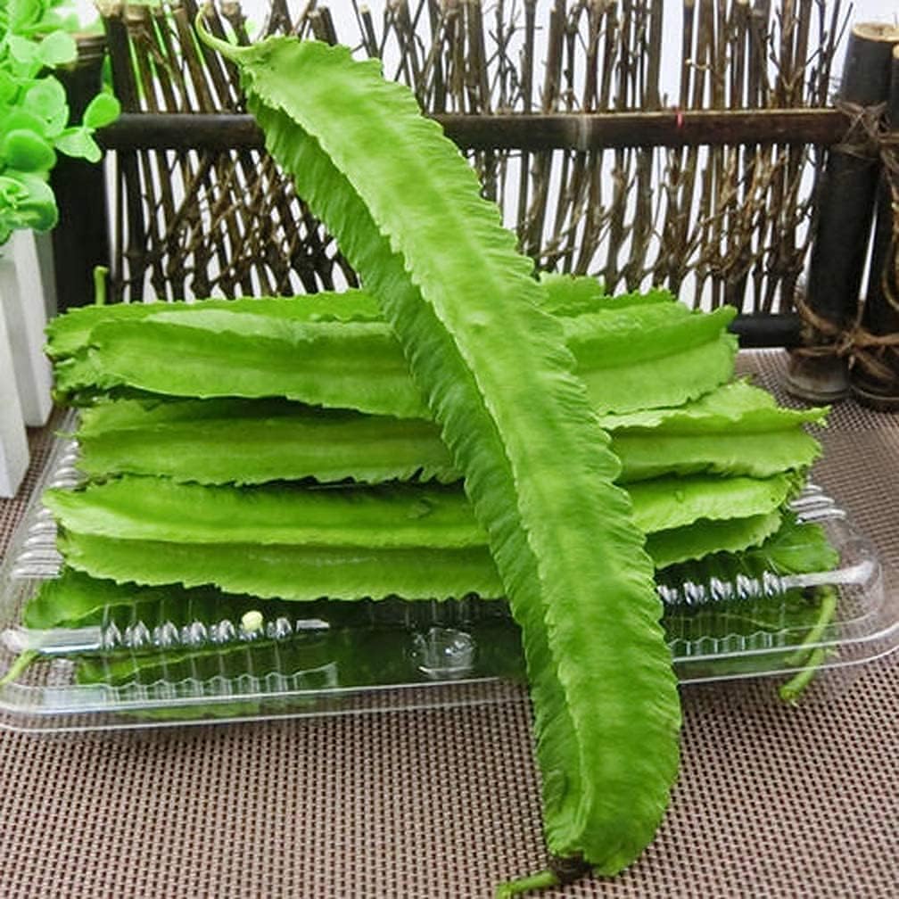 Green Winged Bean Seeds up to 50%
