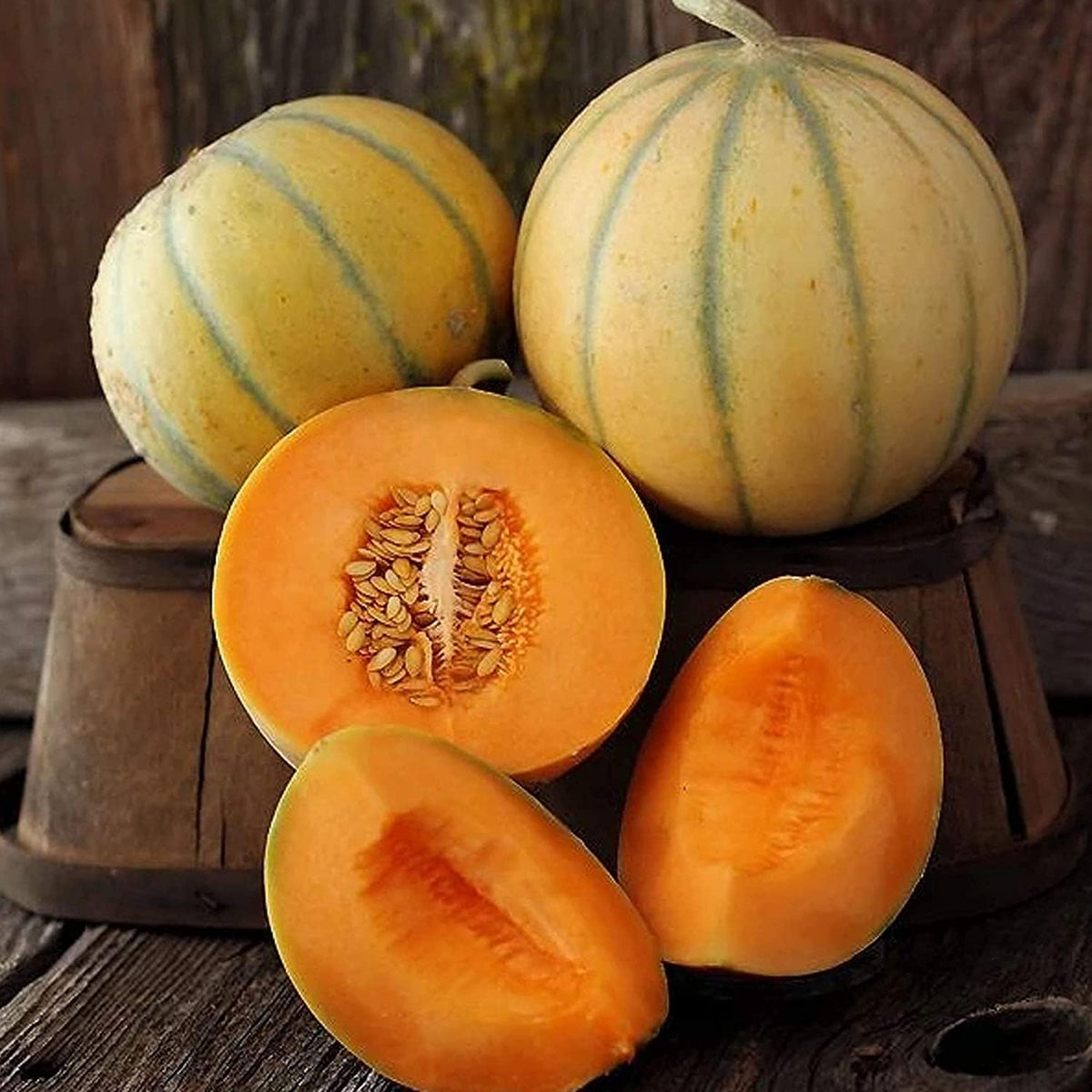 Organic Charentais Melon Seeds
