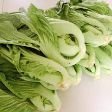 Asian Vegetable Seeds - Mix