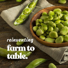 Fava Bean Vegetable Seeds