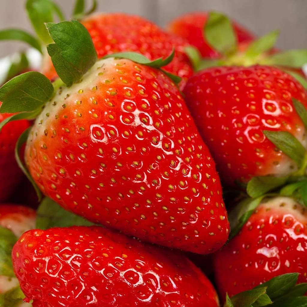 Strawberry Plant Seeds up to 50%