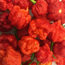 Hurt Berry Pepper Seeds