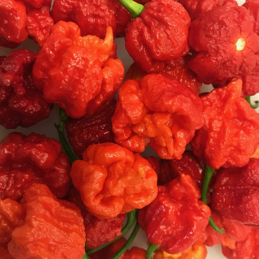 Hurt Berry Pepper Seeds