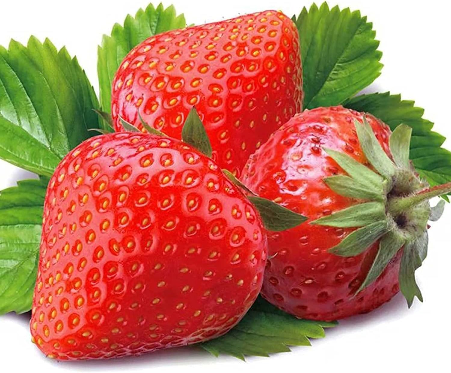 Large Strawberry Seeds  up to 50%