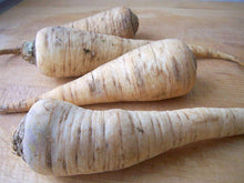 Dutch Hamburg Parsley Seeds