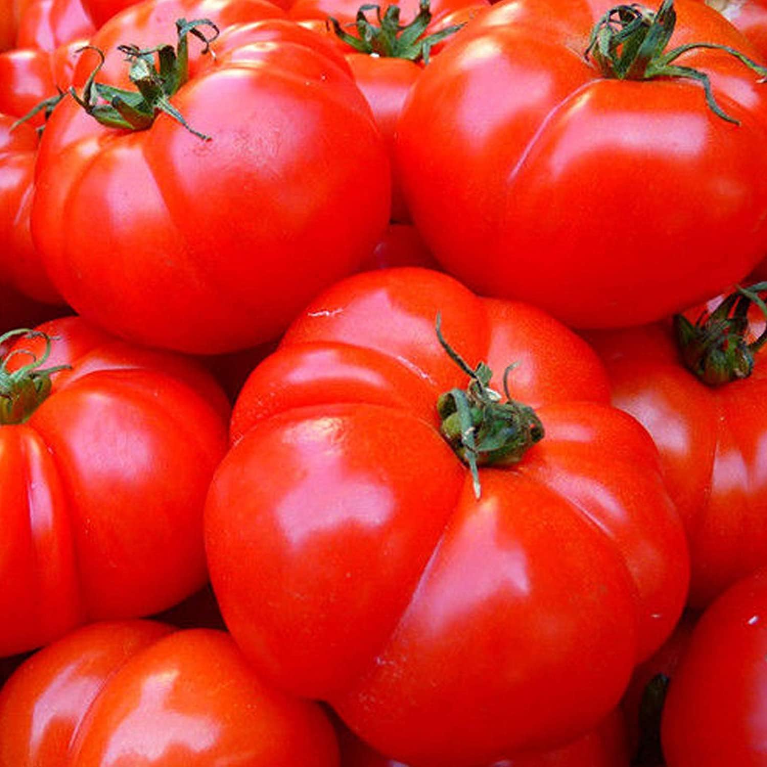 Big Beef Tomato Seeds up to 50%