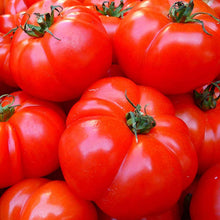 Big Beef Tomato Seeds