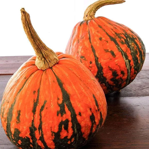Lakota Squash Seeds