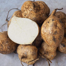 Jicama Yam Bean Seeds