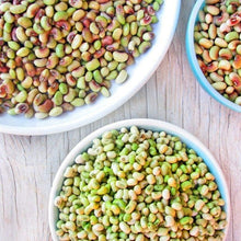 Pinkeye Purple Hull Cowpea Seeds