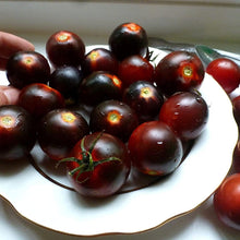Black Early Tomato Seeds