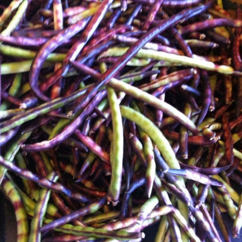 Pinkeye Purple Hull Cowpea Seeds