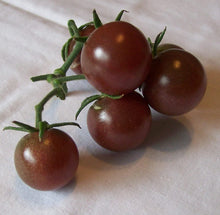 Black Early Tomato Seeds