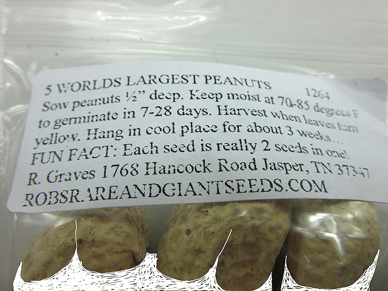 Giant Peanut Seeds up to 50%