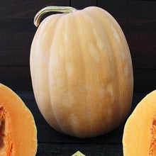Dickinson Pumpkin Seeds