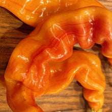 Striped Sugar Rush Bacon Malawi Piquante Pepper Seeds
