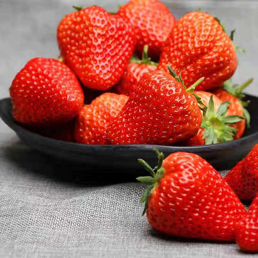 Large Strawberry Seeds