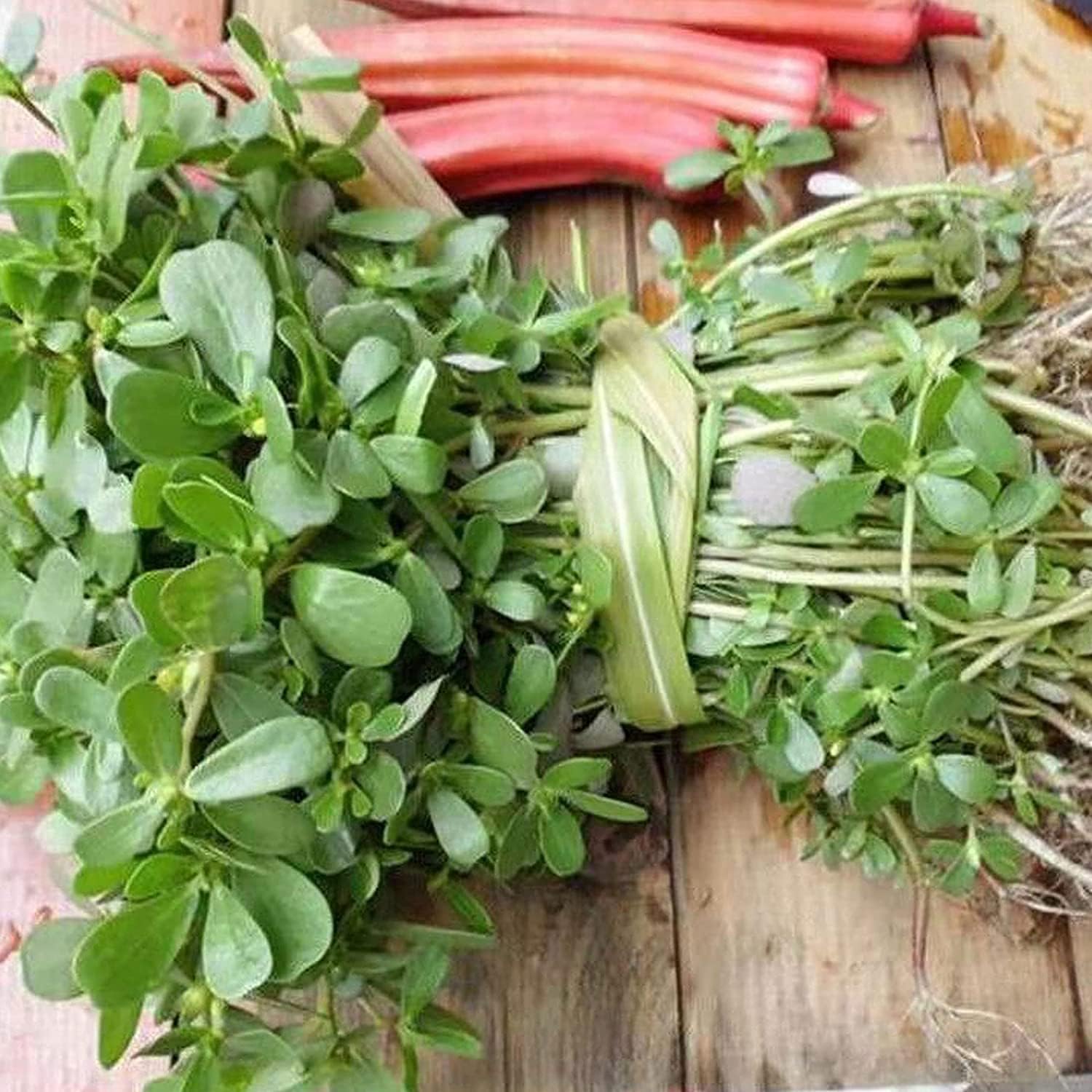 Green Purslane Seeds up to 50%