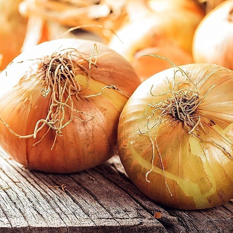 Walla Walla Sweet Onion Seeds up to 50%