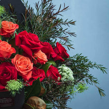 Mixed Rose Flower Seeds Colorful Garden Blooms