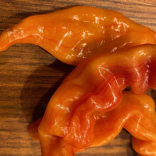 Striped Sugar Rush Bacon Malawi Piquante Pepper Seeds