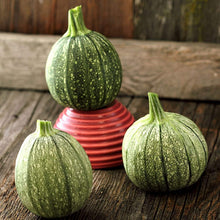 Round Zucchini Seeds
