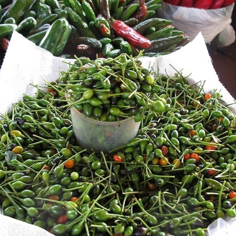 Chile Pequin Pepper Seeds up to 50%
