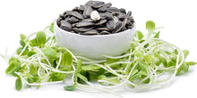 Black Oil Sunflower Seeds
