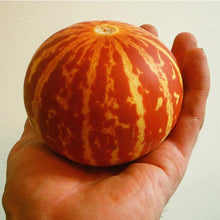 Tigger Melon Seeds