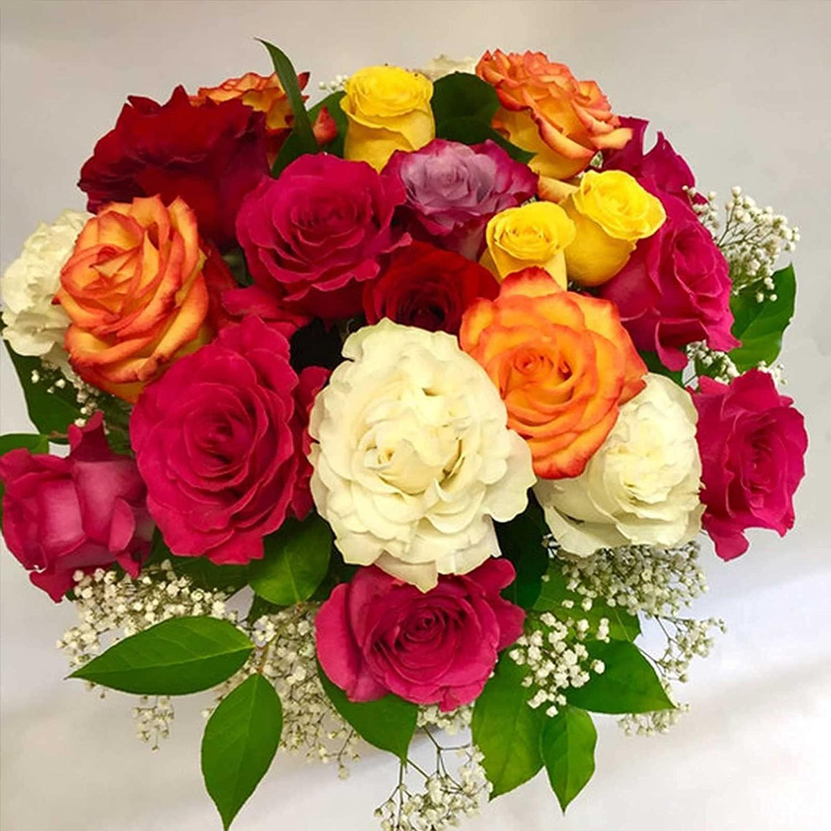 Mixed Rose Flower Seeds Colorful Garden Blooms