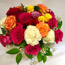 Mixed Rose Flower Seeds Colorful Garden Blooms