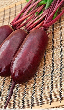Rival Beetroot Seeds