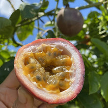 Passion Fruit Seeds - Dark Purple