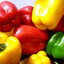Bell Pepper Seeds