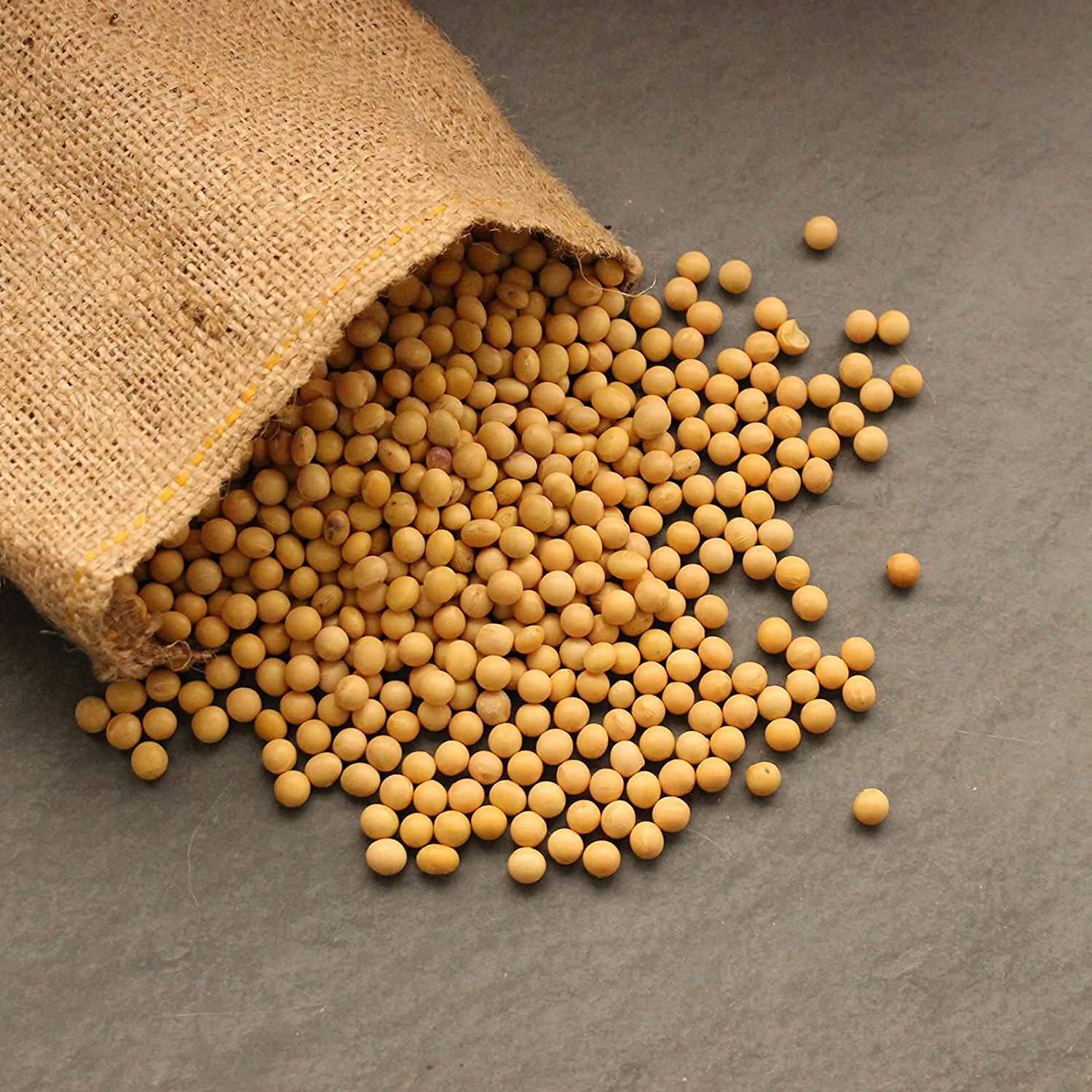 Organic Soybean Seeds – Non-GMO for Sprouts &amp; Gardening | up to 50%