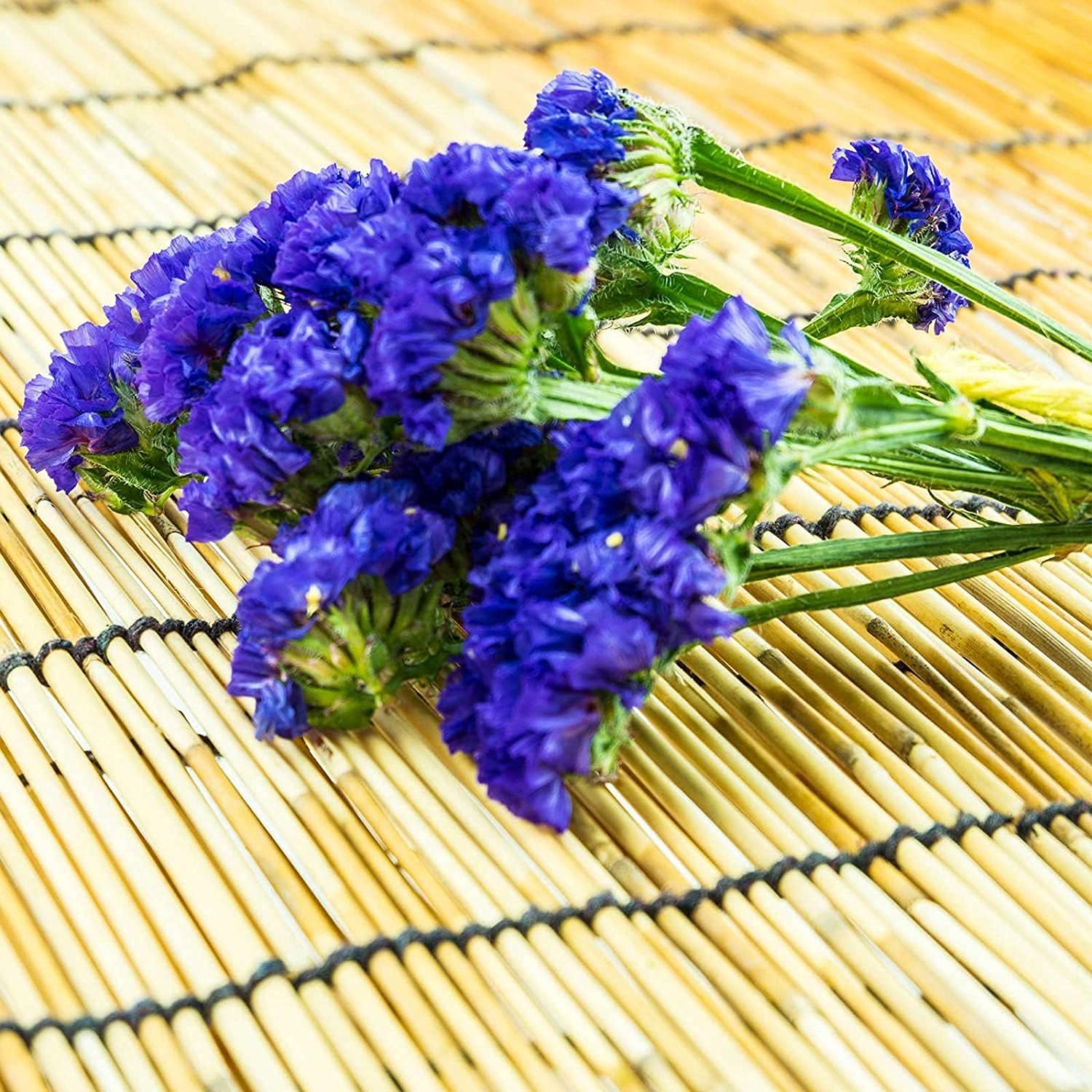 Statice Flower Seeds ¨C Pale Blue Blooms | up to 50%