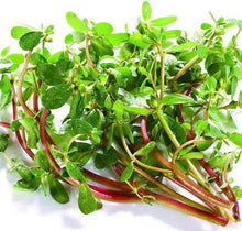 Green Purslane Seeds