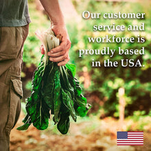 Leaf Lettuce Seeds