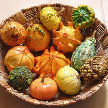 Ornamental Pumpkin Mix Seeds