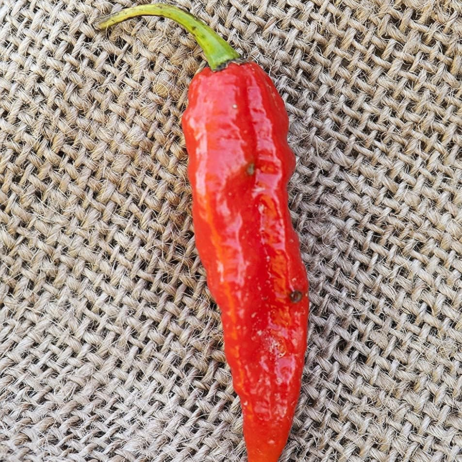 Ghost Pepper Seeds up to 50%