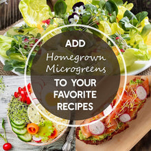 Leaf Lettuce Seeds