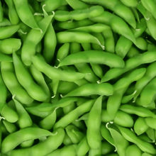 Edamame Seeds