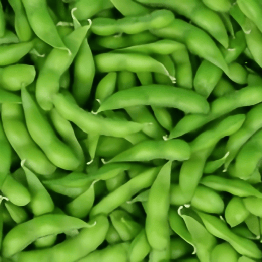Edamame Seeds