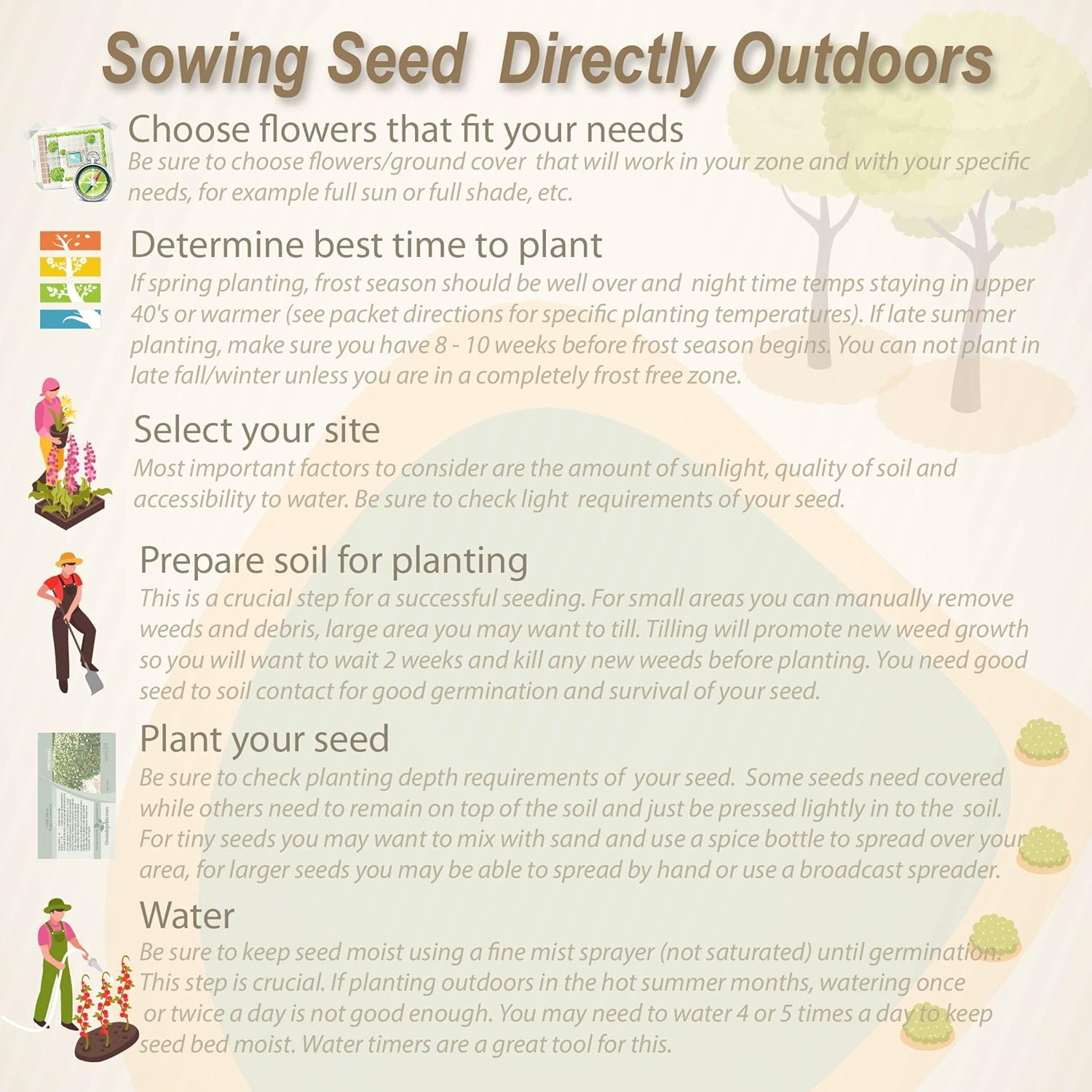 Violet Flower Seeds up to 50%