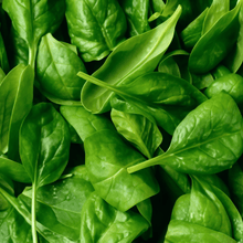 Spinach Seeds
