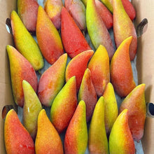 Aji Mango Pepper Seeds